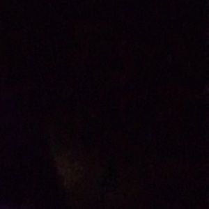 Meet your Posher, Skyler